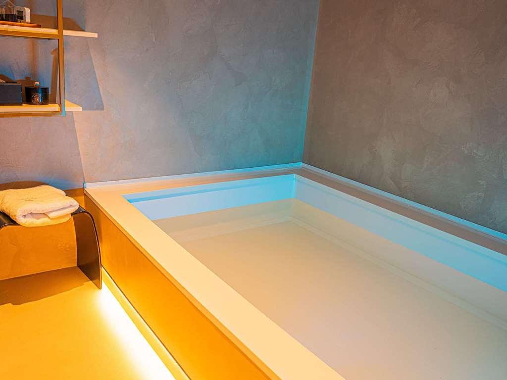 Ibis Center Hotel Timişoara